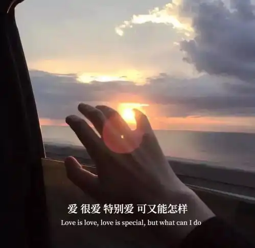 挺失望的伤感文案

