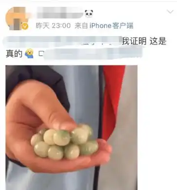 挡不住诱惑知名男星发文两个女儿竟然同时爱上这件事全国家长家有同款