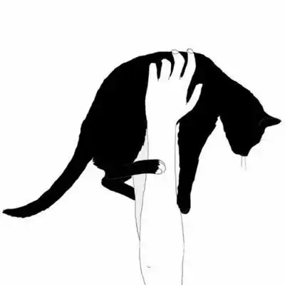 跪求少年抱着黑猫背景为白色的动漫头像
