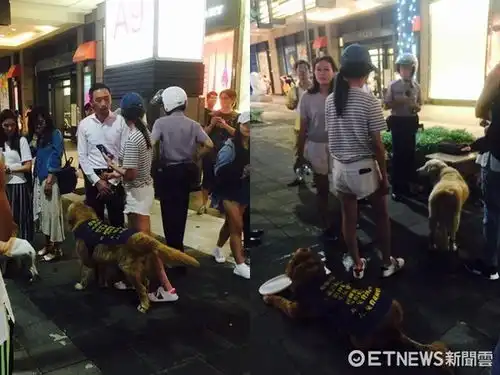 萧亚轩救狗怒报警阿伯回应日久见人心