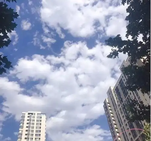 抬头望天举相机唱火辣辣的家乡有我火辣辣的爱