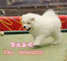 黄页88高清图片