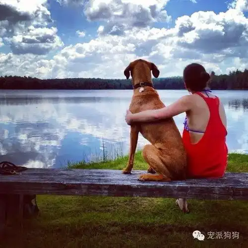 逛公园逛到了另一半,这么神奇的事我怎么没碰到