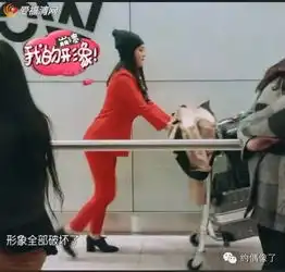 霸气宁静花儿与少年惹争议,偶像来了真性情