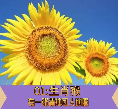 素颜最有气质的3生肖女,不靠颜值靠魅力,男人最喜欢