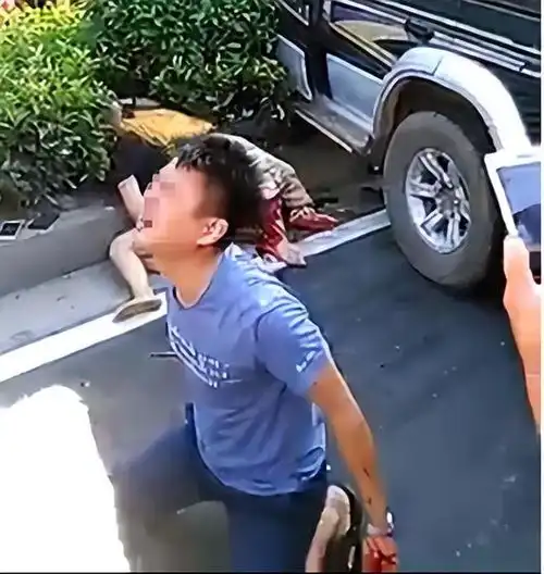 回顾连撞9人的男子驾车撞人后,弃车逃跑,法网恢恢凶手最终落网