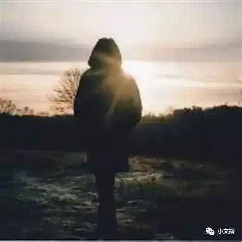美文欣赏孤独的灵魂
