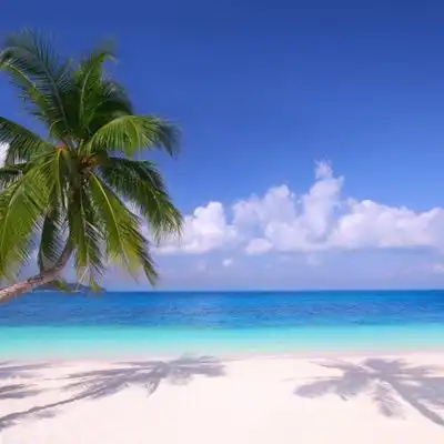 最美海景头像,唯美静谧的沙滩海滩风景图片
