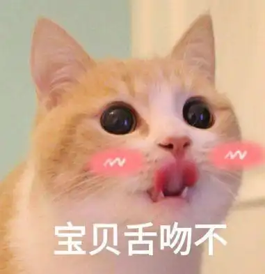 男子买回两只螃蟹,却被家里猫盯上了,螃蟹我怂了,是个狠猫