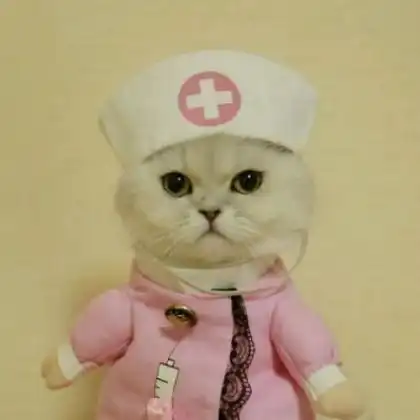 可爱猫咪情侣头像一对,又萌又搞笑的小猫
