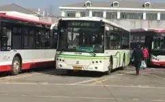 上海松亭石专线路上海松亭石专线路公交车路线上海松亭石专线路公交车路线查询上海松亭石专线路公交车路线图