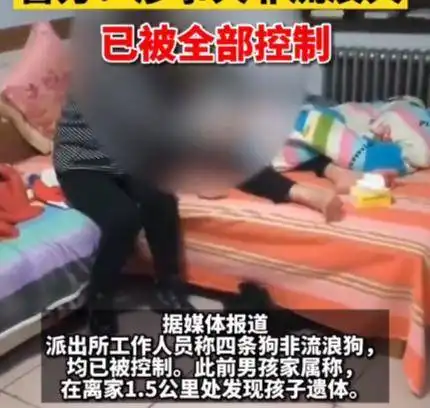 河北13岁男孩失踪3天被找到时惨不忍睹,警方被4条狗攻击致死
