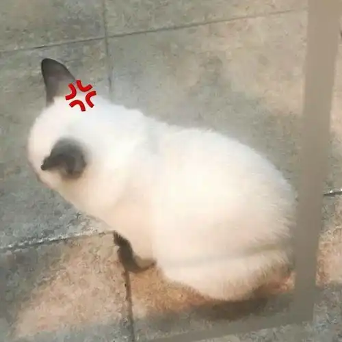 有人教资面试过吗请进有问题请教