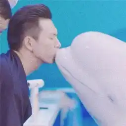 亲爱的热爱的童颜夫妇情侣头像佟年韩商言cp情侣头像一人一张