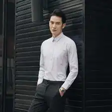 s7xl秋冬季男士长袖衬衫紫色蓝色条纹商务衫衣加肥加大码1560p55