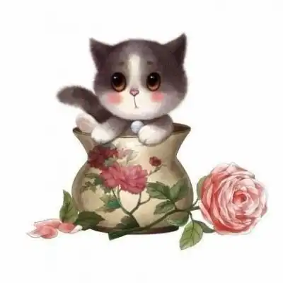 可爱卡通小猫头像大全水果小图案
