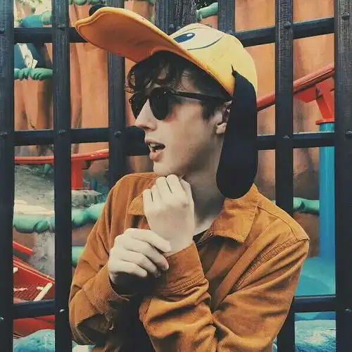 如何评价troyesivan
