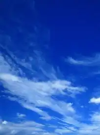 蓝天上漂浮着絮状的云朵
