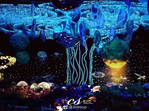 身价100亿却要寻找灰姑娘,这个霸道总裁才是真正的佛系少年
