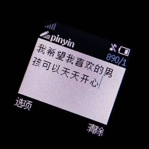 微甜的情话我想和你说