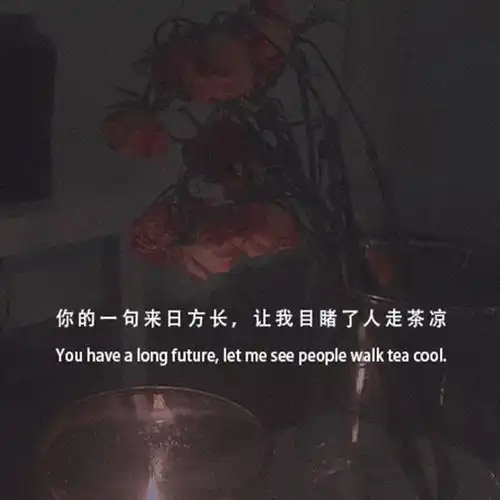 关于孤独的文案
