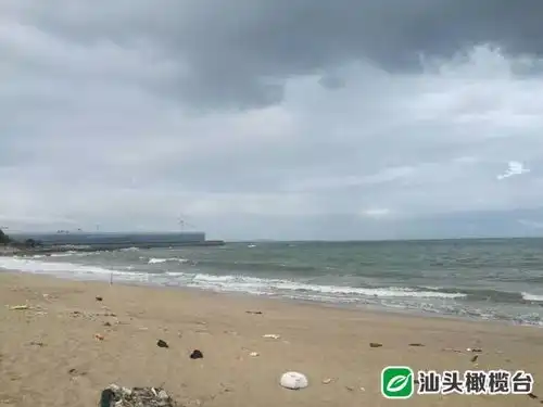应急宣教丨悲剧两少年被浪卷走海边戏水应注意哪些事项游泳