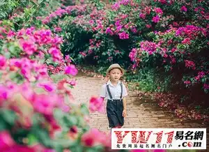姓梅的男孩名字高分
