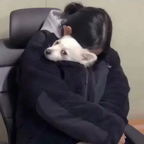 优质文案没安全感的人特别懂如何给别人安全感