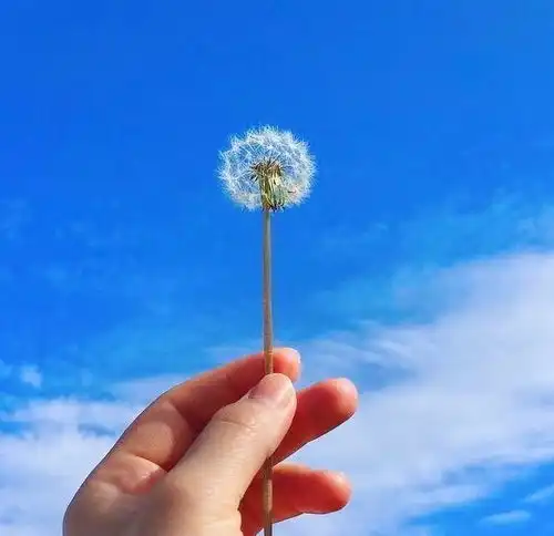青春励志热血的句子,霸气而又有志气