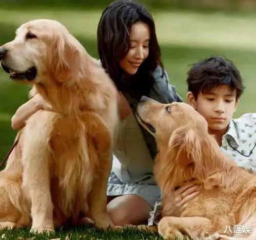董洁携儿子首登封面秀美背线条不输小姑娘,顶顶高又帅如贵公子