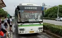 奉卫线公交车路线上海奉卫线路公交车路线上海奉卫线路奉卫线公交车路线图