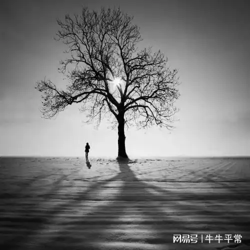 和我妈同居的男人逼得我自卫,我妈却不分青红皂白把我赶出了家
