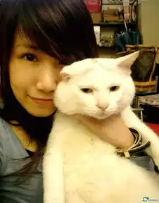 男头像有猫的
