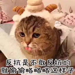 注意这46所大学部分专业暂时不能招收研究生啦

