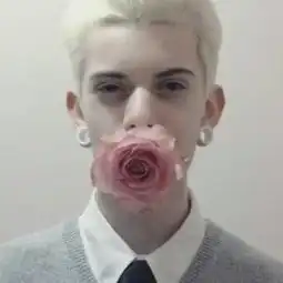 qq头像男欧美范玫瑰