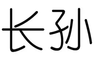 2019猪年长孙姓男宝宝取名