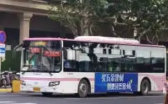 松练专线公交车路线上海松练专线路公交车路线上海松练专线路松练专线公交车路线图