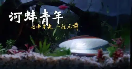 什么是河蚌青年恰如比亚迪,心中有光一往无前
