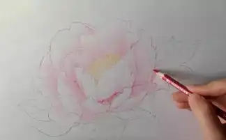 彩色铅笔画牡丹花手绘过程丨彩铅花卉图文教程