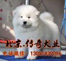 黄页88高清图片