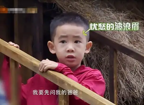 爸爸去哪儿6最受期待的五大萌娃,甜馨上榜,男娃最想看他