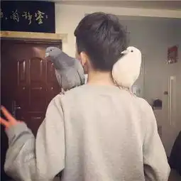搜狐公众平台今日头像推荐