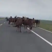 滚动