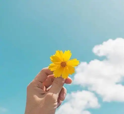 阳光励志的早安句子,选一句激励自己
