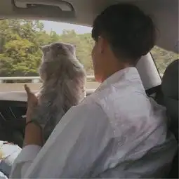 确认过眼神我遇上对的人t.d高音质在线试听确认过眼神我遇上对的人歌词歌曲下载酷狗音乐
