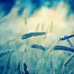 潜规则2019年必读

