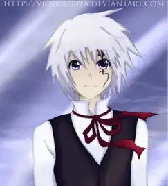 驱魔少年dgrayman中的亚连沃克穿的团服里面的那两件衣服叫什么
