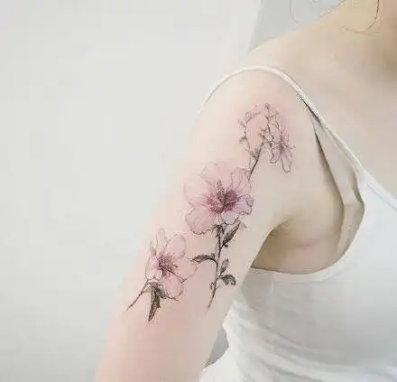 这是什么花