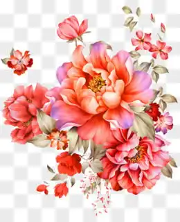 牡丹花图片素材免费牡丹花png设计图片大全图精灵