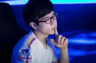 宠辱不惊云淡风轻大男孩looper的职业旅程